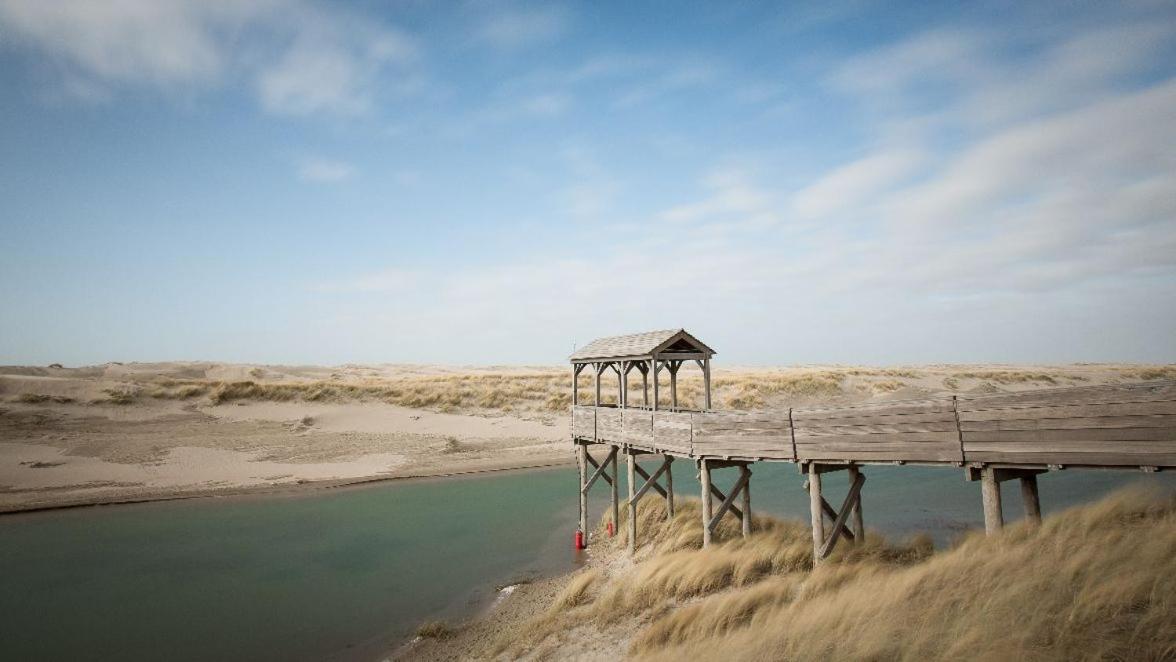 Chalet Casa Quak Daire Petten Dış mekan fotoğraf